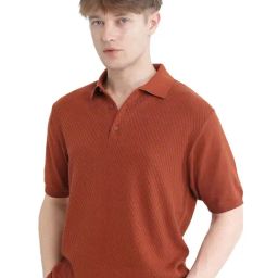 Rare Rabbit Rust Regular Fit Solid Polo T-Shirt-7