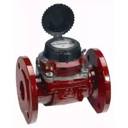 Capstan Sensus Woltman Flange End Class-B Hot Water Flow Meter With Sensus Electronic Reader 250 mm-1