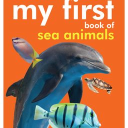 My First Book of Sea Animals Board Book - English-13