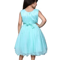 BAESD Net Fit & Flare Dress image 4