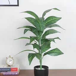 ARICK DECOR Green 1 Pieces Croton Artificial Plant With Pot-image-50