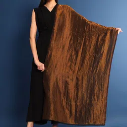 Pashmoda Women Woven Design Shawl-picture-44