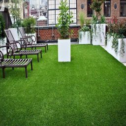 eturf Green Polypropylene 35 Mm High Density 6.5 X 5 Feet Artificial Grass-picture-5