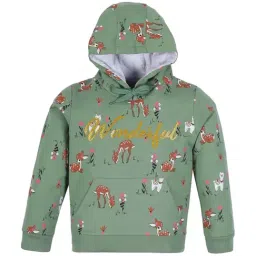 Plum Tree Kids Green & Brown Cotton Printed Full Sleeves Hoodie-image-71