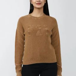 Forever 21 Brown Round Neck Sweater-image-48