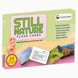 Hungry Brain Still Nature 24 Flash Cards - Multicolor-image-18