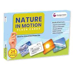 Hungry Brain Nature In Motion 24 Flash Cards - Multicolor-image-19