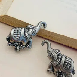 Abdesigns Graceful High Quality German Silver Stud Earrings-image-48