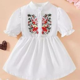 SK DRESSES Floral Embroidered Puff Sleeve Fit & Flare Dress-image-89