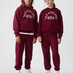 GAP Boys Maroon Embroidered Hooded Sweatshirt-image-36