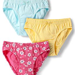 Honeyhap Premium Cotton Elastane Knit Panties With Floral Print Pack Of 3 - Fandango Pink Golden Haze & Spun Sugar-picture-16
