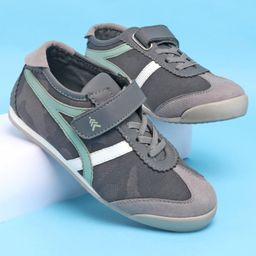 Pine Kids Velcro Closure Casual Shoes - Black-image-100