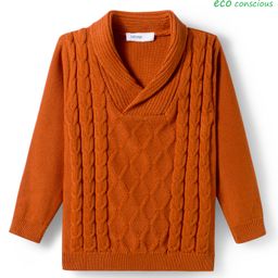 Babyoye 100% Cotton Knit Full Sleeves Pullover Sweater with Cable Knit Design - Brown-picture-47