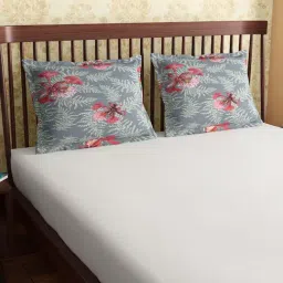 Petal Home Poinciana Teal 300 TC Cotton Pillow Covers - Set of 2-image-13
