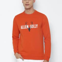 Allen Solly Orange Cotton Regular Fit Graphic Sweatshirt-image-40