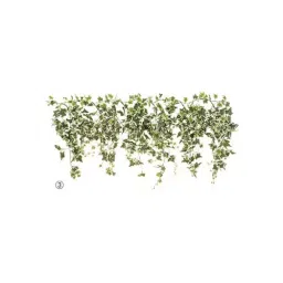 AS ONE Green Fern Legerland W180 × H70 cm Size Made Of Vinyl Chloride, 61-174-2-3-image-62
