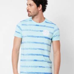 Spykar Light Blue Slim Fit Striped Crew T-Shirt-image-94