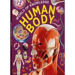 World of Knowledge:Human Body - English-image-93