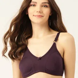 Lady Lyka Wine Non Wired Non Padded T-Shirt Bra-picture-8