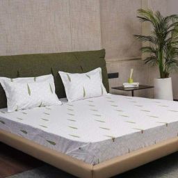 Urban Space Serene Green Cotton 200 TC King Fitted Bedsheet With Pillow Covers-image-30