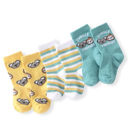 Cute Walk by Babyhug Anti Bacterial Ankle Length Socks Koala Design Pack Of 3 - Multicolour-picture-47