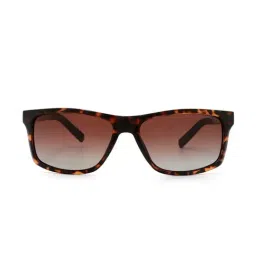 Nautica NA3651P Brown Polarized Rectangular Sunglasses-7