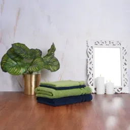 Spaces Atrium Self Green & Blue 500 GSM Cotton Towel Combo - Set of 4-image-16