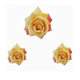 DIVASTRI Women Set of 3 Beige Artificial Rose Alligator Hair Clip-picture-34