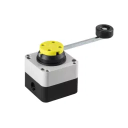GIOVENZANA Roller Type Limit Switch 20 A IP65 Protection with Fully Adjustable Rod For Crane/Hoist Black, FFH2C-15