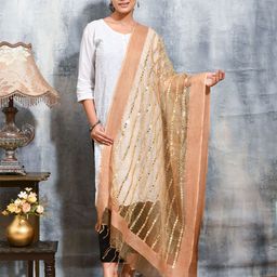 swatika Women Embroidered Mirror Work Dupatta-41