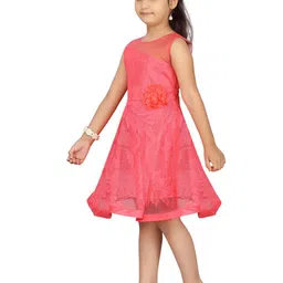 BAESD Net Fit & Flare Dress image 4