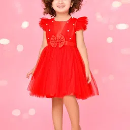 SAKA DESIGNS Net Fit & Flare Dress-image-6