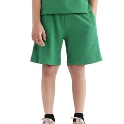 Rare Ones Boys Green Cotton Solid Shorts-image-22