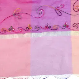 Dupatta Bazaar Multicolored Dupatta image 4
