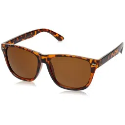 Roadies Brown UV Protection Square Unisex Sunglasses-image-26