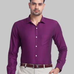 Park Avenue Purple Cotton Slim Fit Shirt-picture-41