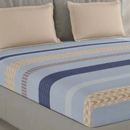 Monte Carlo Ramonbx Blue Cotton Printed 200 TC Double Bedsheet with 2 Pillow Covers-image-72