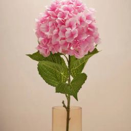 Pure Home and Living Pink Plastic Solid Flower Stems-image-0