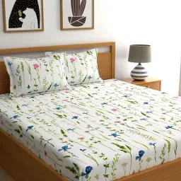 Home Ecstasy White & Blue Cotton 140 TC Bedsheet Set-picture-35