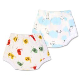 Plan B 100% Cotton Pack Of 2 Birds Printed Padded Potty Training Underwear - White-image-85