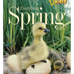 Everything Spring Story Book By Jill Esbaums - English-24