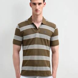 Arrow Sport Dark Brown Cotton Regular Fit Striped Polo T-Shirt-image-17