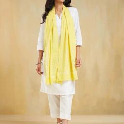 Fabindia Yellow Cotton Regular Fit Embroidered Stole-15