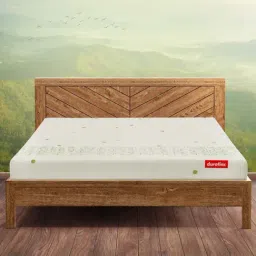 Duroflex Kaya Organic Cotton Latex Mattress - Single Size (75 in. L x 36 in. W)-image-29