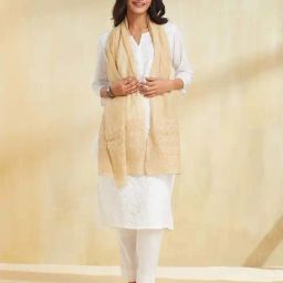 Fabindia Beige Regular Fit Embroidered Stole-26