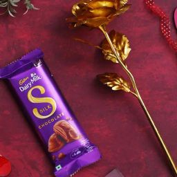eCraftIndia Golden Rose & Cadbury Dairy Milk Silk Chocolate Combo-21