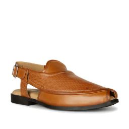 Bata Men's PESHAWARI Tan Back Strap Sandals-image-74