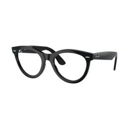 Ray-Ban Black Oval Unisex Eye Frames-picture-36