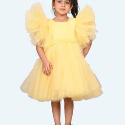 Modish Flutter Sleeve Net Fit & Flare Dress-10
