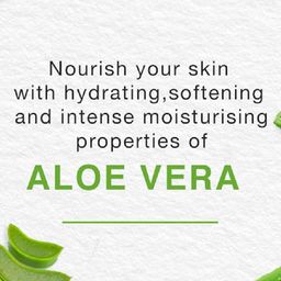 DRONTIKA Wild & Pure Aloe Vera Face Wash with Cucumber & Vitamin E - 100 ml image 2